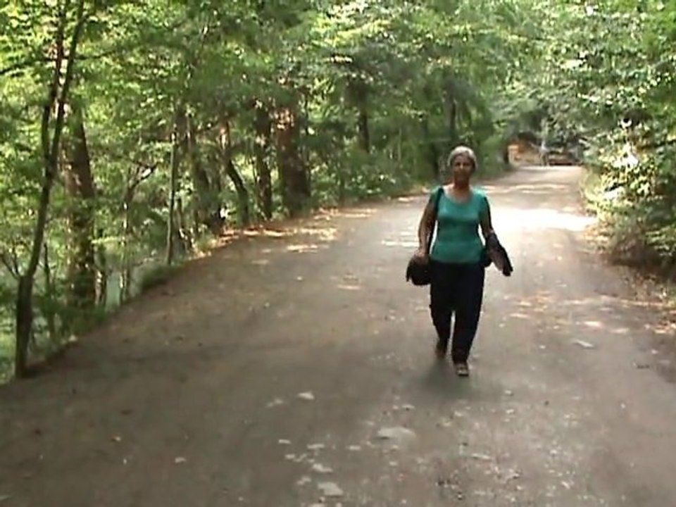 Bolu Yedigöller Doğası - Bolu Yedigöller Nature