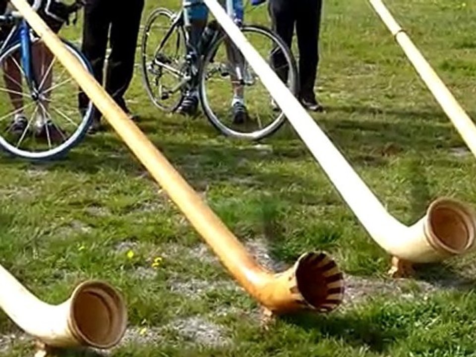 Alphorn-cor des Alpes- Vosges