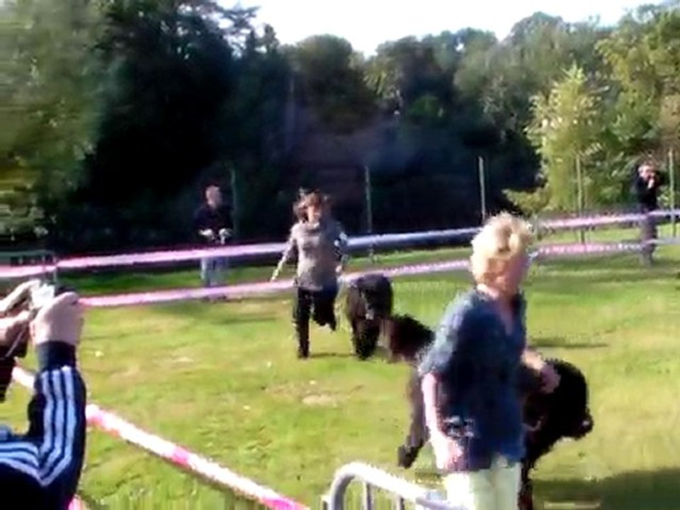 Loki aux allures - NE LEBLANC 2010