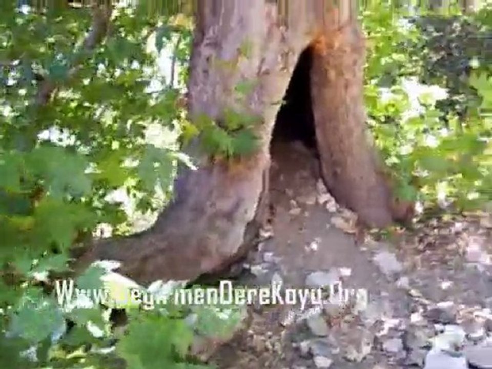 Çorum,Alaca,Değirmendere Köyü,Çınar Baba