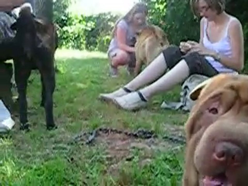 Rencontre AFPSP Perouges 2010