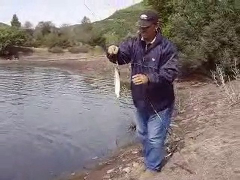 TURNA AT-ÇEK