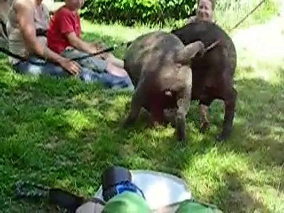 Rencontre AFPSP Perouges 2010 (3)