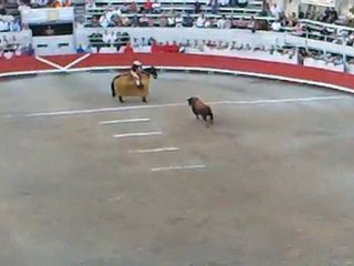 Corrida concours: Piedras Rojas