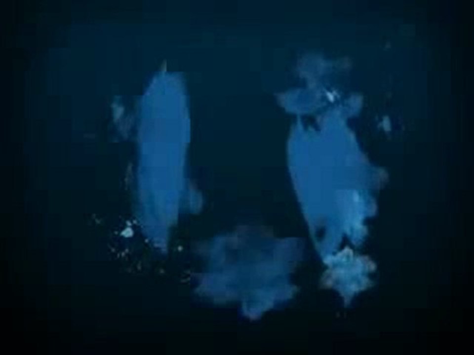 Earn Fast Money Online with Affiliate Marketing