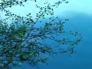 fraye des carpes dans graviere