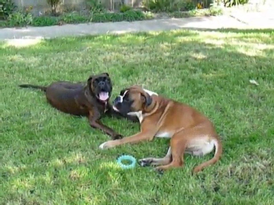 EWANE et EOLE à la maison Sept 2010 vol 2