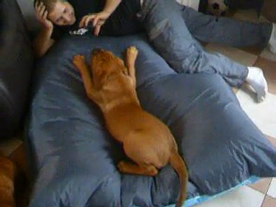 les gros 003