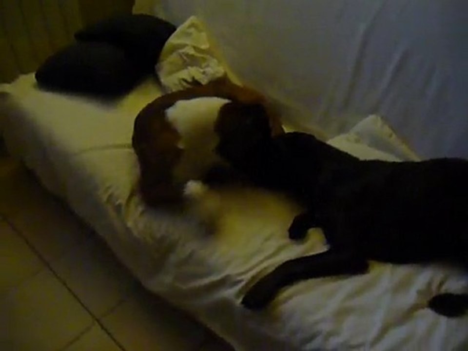 EWANE et EOLE à la maison Sept 2010 vol 4