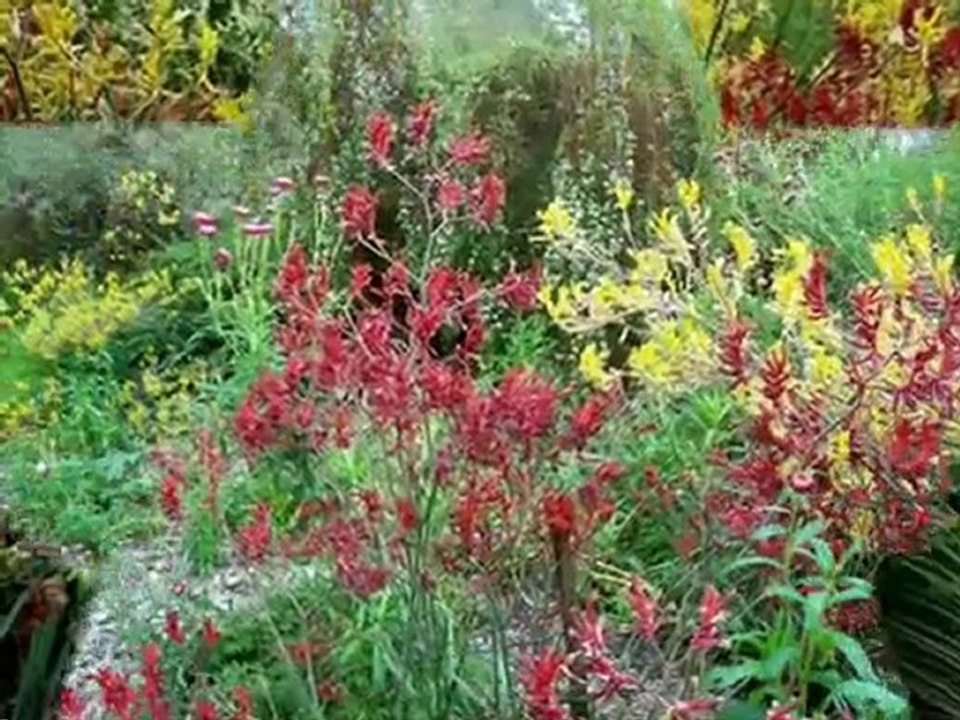 Pays de Galles National Botanic Lilianelli court