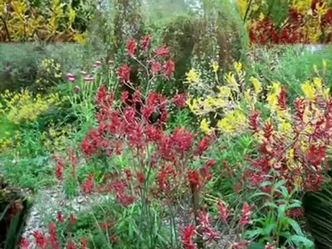 Pays de Galles National Botanic Lilianelli court