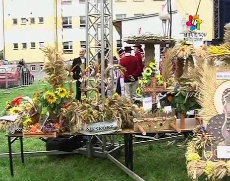 Gminne Dożynki w Jelonkach 2010