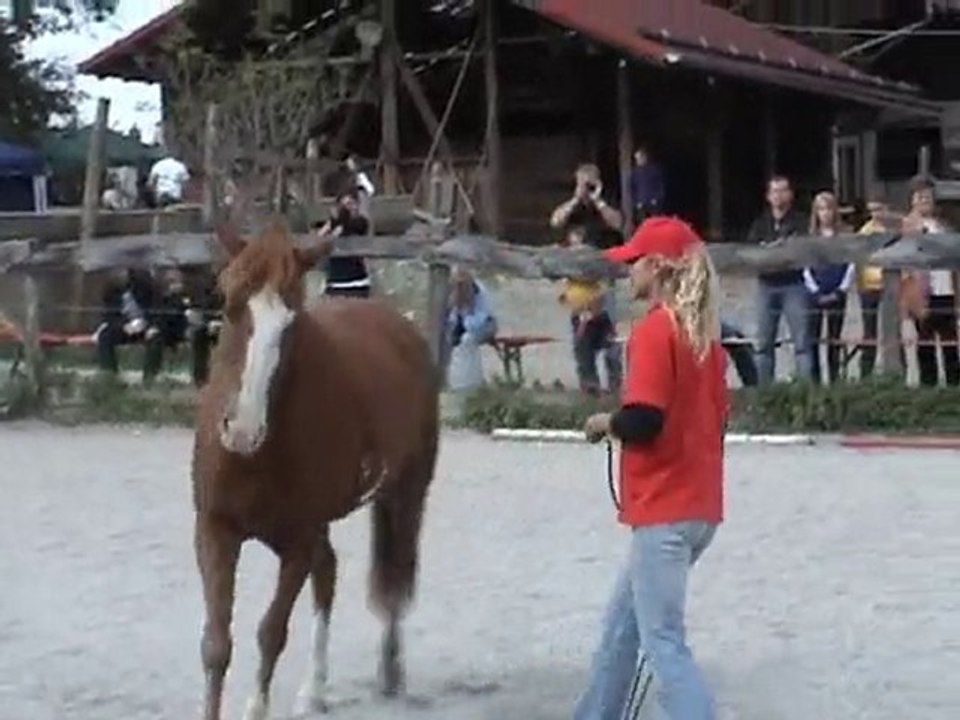 Natural Horsemanship Franky 1. Auftritt