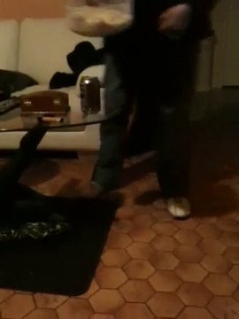 Bb Staff Chiots De Vindetta