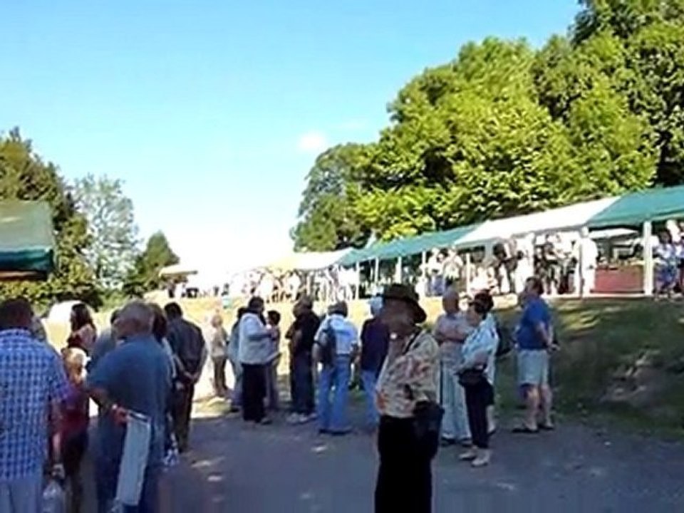 Fête au village de Saint-Barthélemy-de-Bussière en août (24)