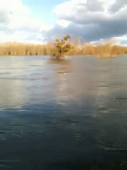 Loire En Crue En 2009 Dans Le Loiret