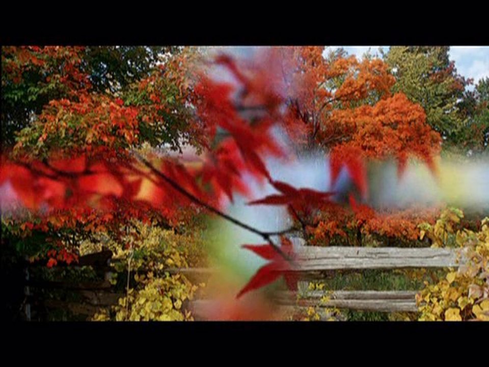 Barwy jesieni- Czerwone Gitary   IP love73