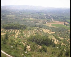 Les Baux de Provence Juillet 2005
