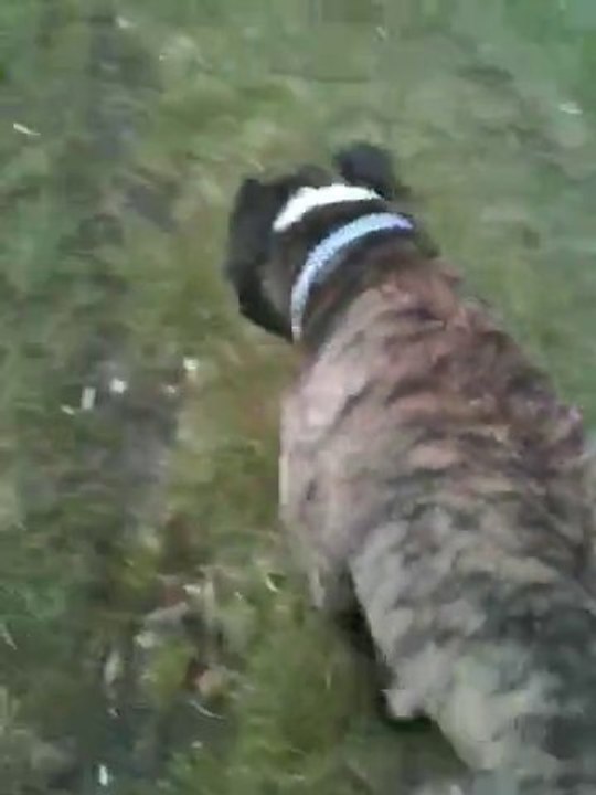 Staff Ulk Et Aleria En Promenade