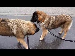 Nina et Floyd (retrouvailles de la soeur et du frère) le 24