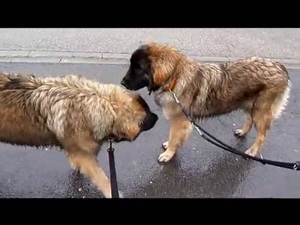 Nina et Floyd (retrouvailles de la soeur et du frère) le 24