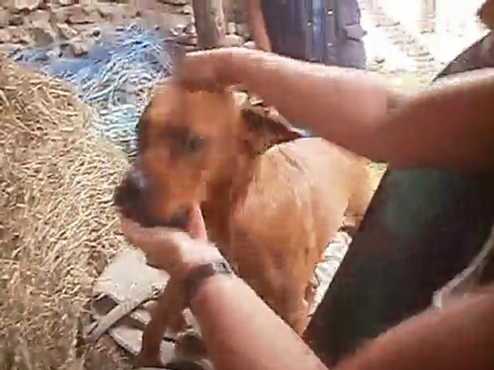 Documentaire de guerre!