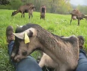 Bébé qui vient se coucher entre mes jambes