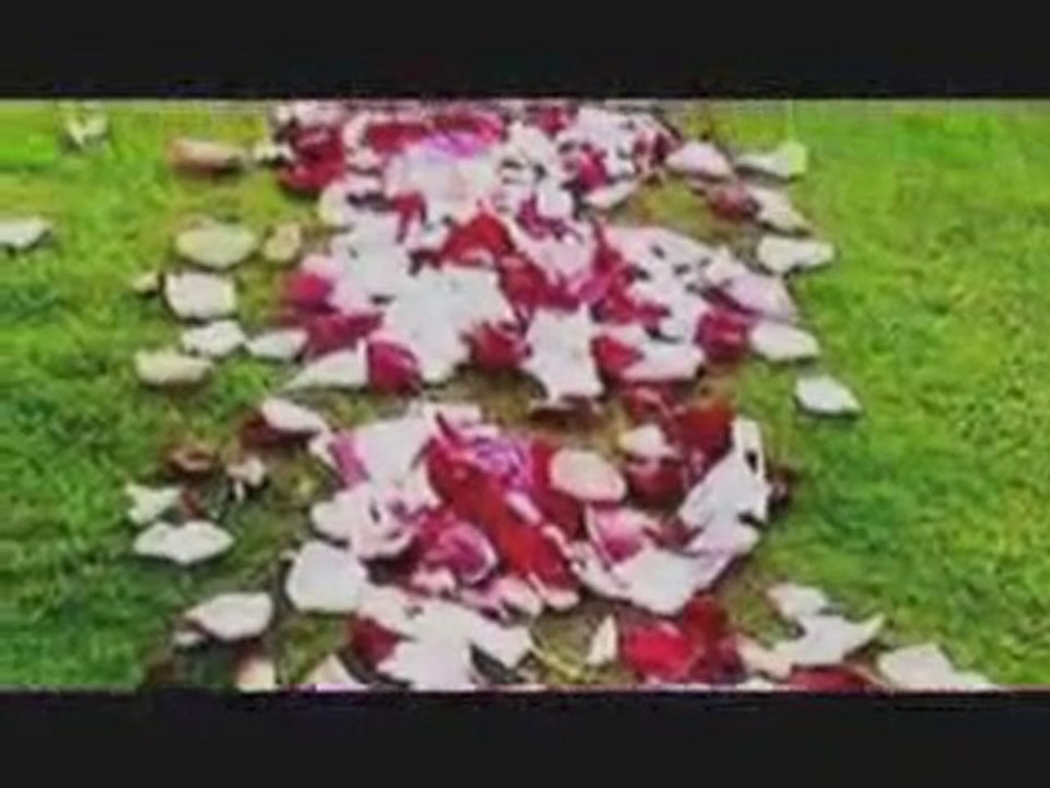 cahit sıtkı tarancı - desem ki