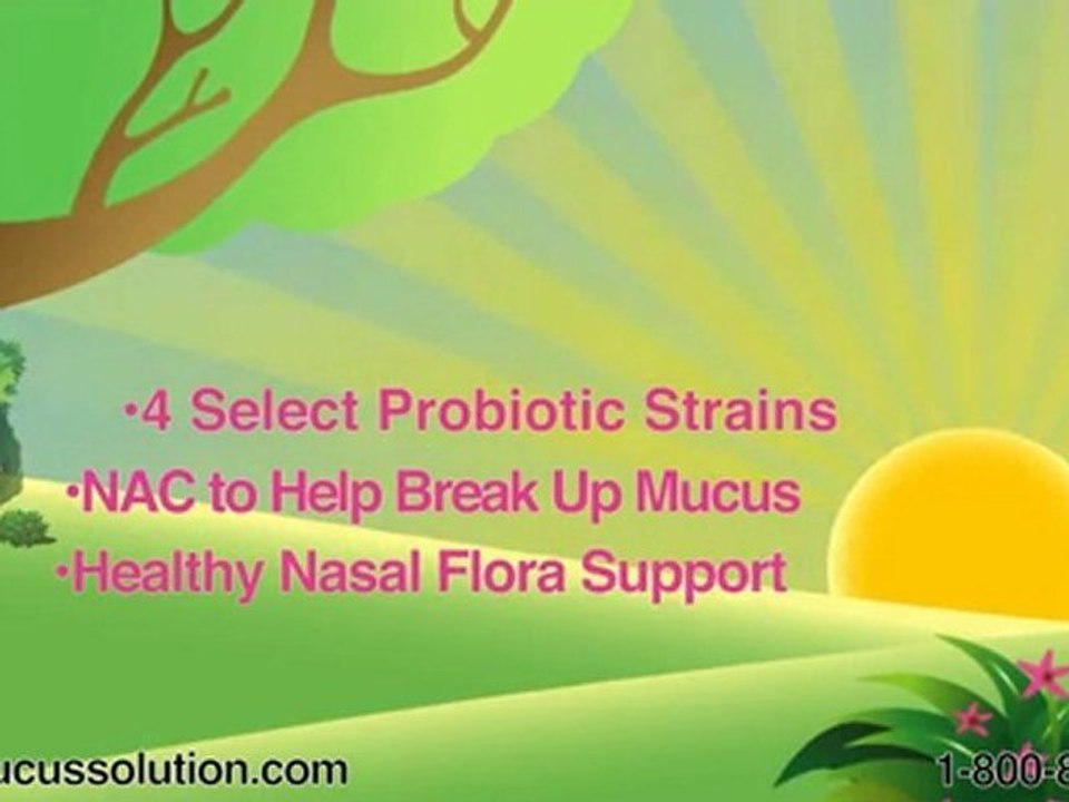 Sinus Remedies – The Mucus Solution!
