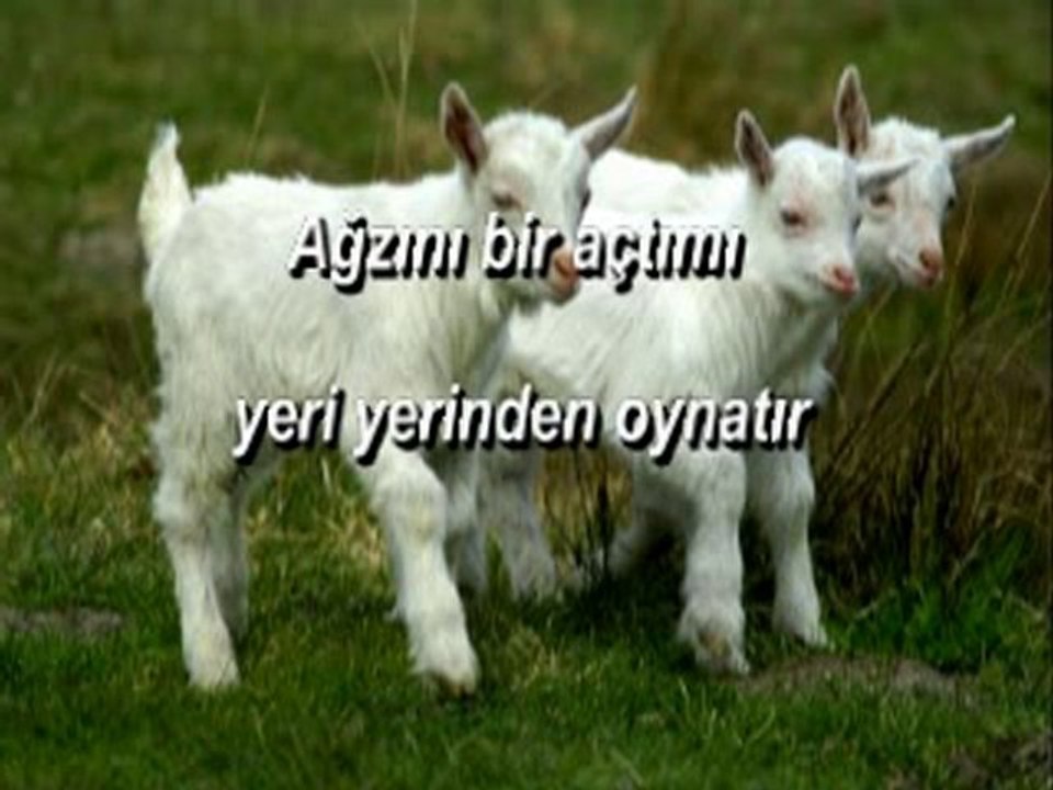 Çoban Ahmet Emmi (sesli)