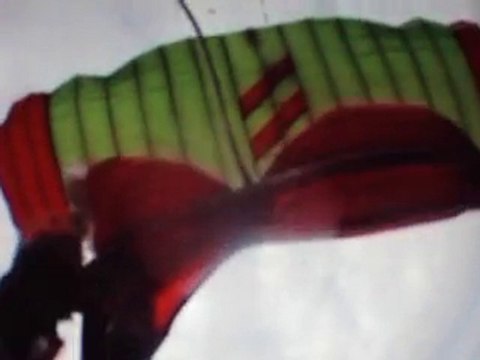 mon saut en parachute