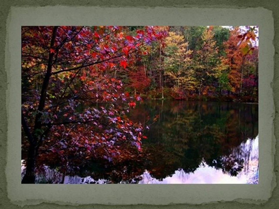 Fall Foliage Pictures