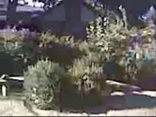 Chris funny comments