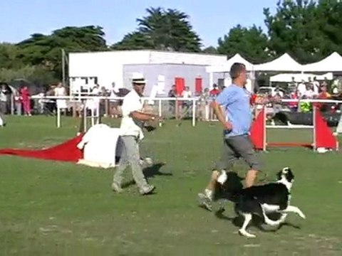 JUMPING 3 EME DEGRE STMICHELCHEFCHEF