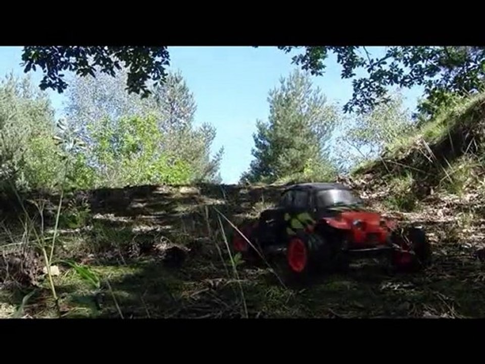 Petite balade en foret