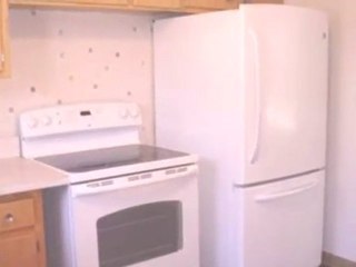 Homes for Sale - 7453 N Octavia Ave - Chicago, IL 60631 - Co