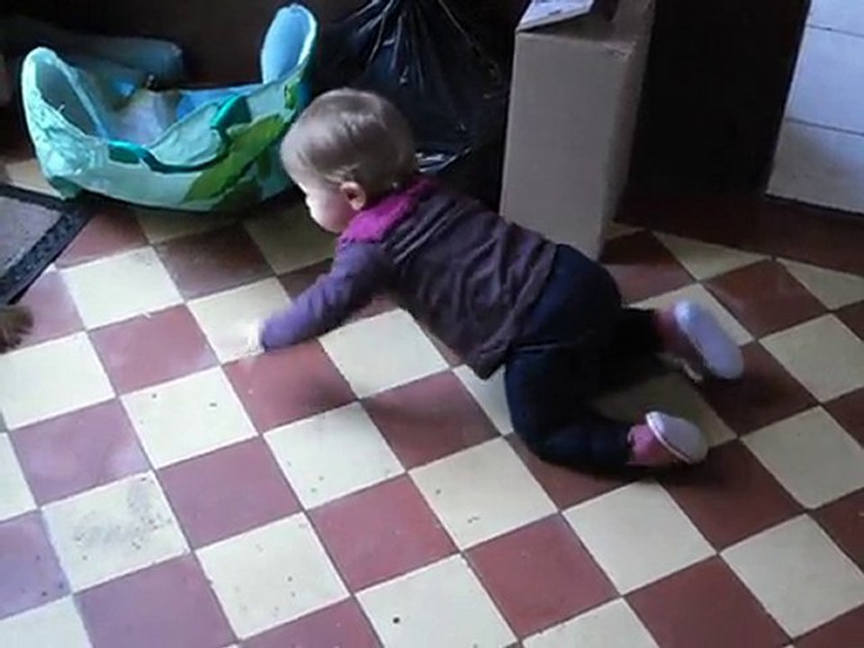 Chloé a 4 pattes !!