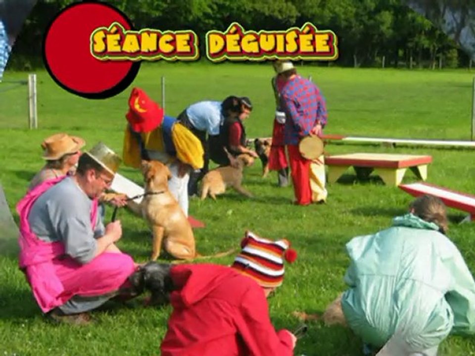 L'Ecole des Chiots de Cholet E.C.par Bidalot Carmen