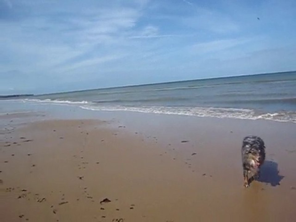 Calvados, plages