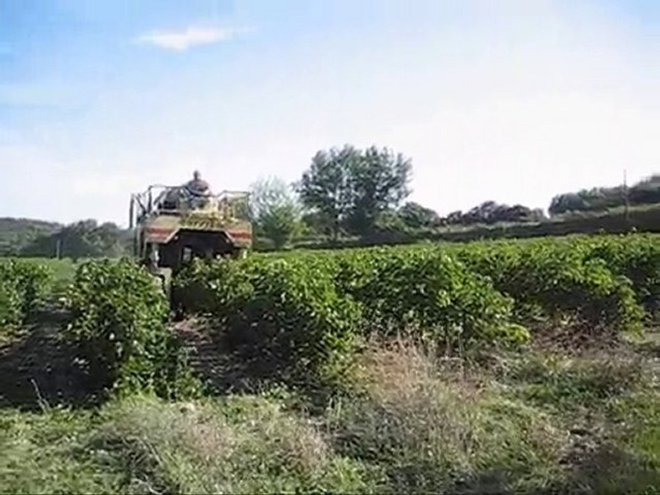 vendanges 2010 en FEMENIA FC210B qui a plus de 30 ans