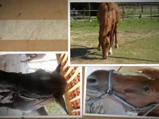 un centre magnifique