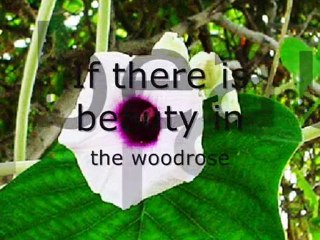 Defying Nature's Rules 🌿