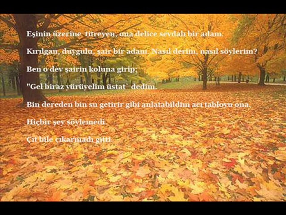 Artık bu solan bahçede Emel Sayın