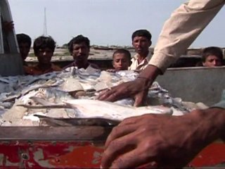 Floods 'great catch' for Pakistan fishermen