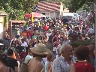 B.A: Les Médiévales de Clisson 2011