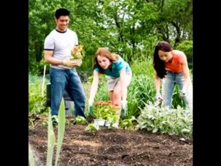 Jardineria - Jardineria Curso - Curso Jardineria