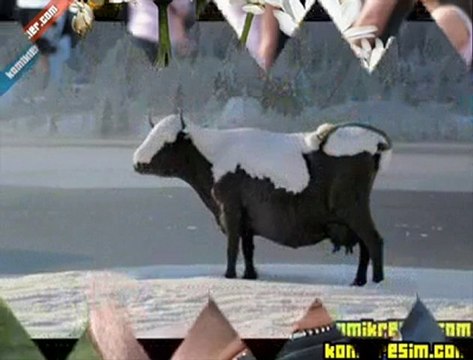 Gülmek İsteyenler İzlesin - Komikizle.net