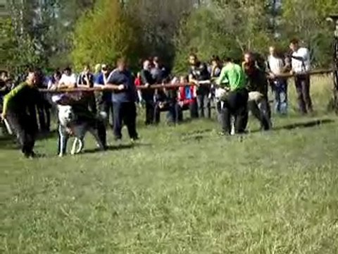 Сен Сао Мурат(Воронеж)-Св.Страж Ержан(Курск)