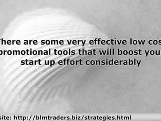 Web Site Linking Strategies