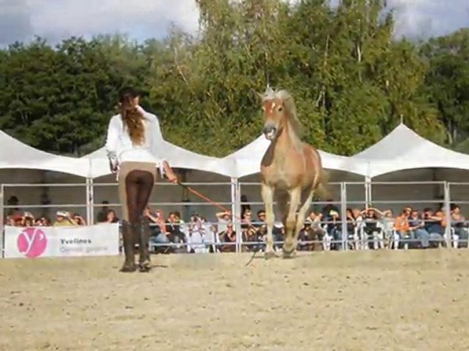 11éme rdv étho à la cense_0001